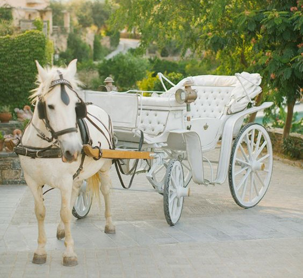horse and carriage prom transport